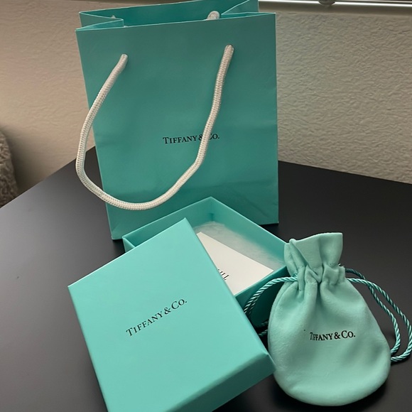 Tiffany & Co shopping bag with box, pouch and silver care card - Picture 1 of 8